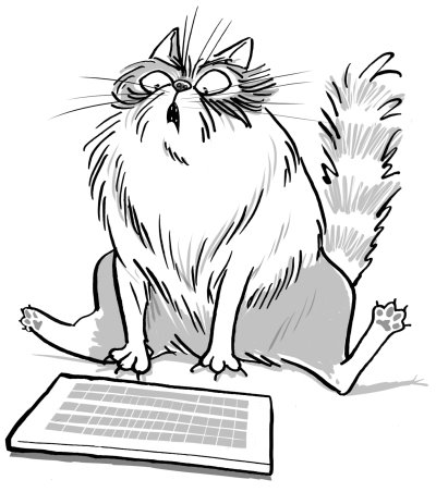 Shocked cat